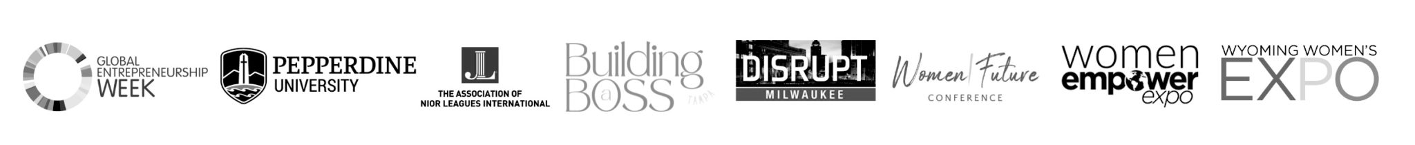 Speaking Banner 1 professional speaker 2